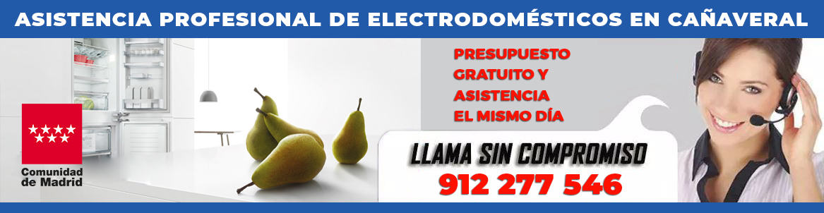 Reparacion electrodomesticos Cañaveral