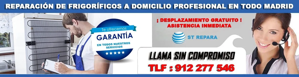 reparacion frigorificos madrid