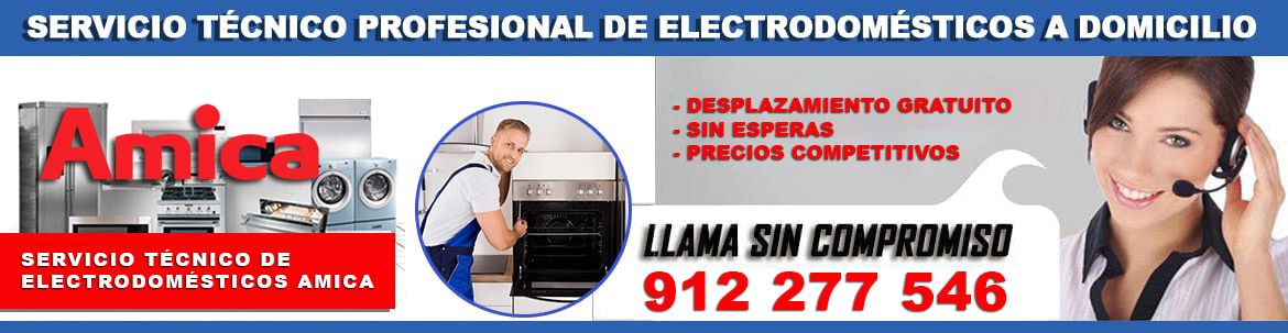 servicio tecnico amica en madrid