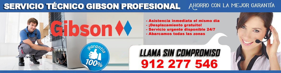 servicio tecnico gibson Madrid