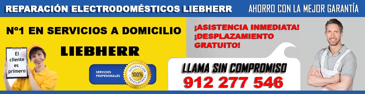 servicio tecnico liebherr madrid