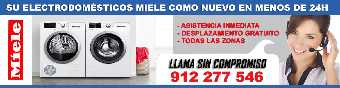 servicio tecnico Miele en madrid