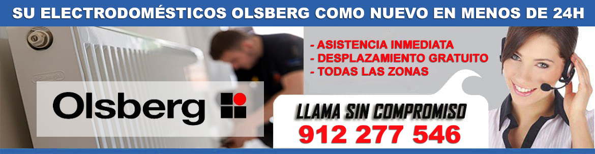 servicio tecnico olsberg en madrid