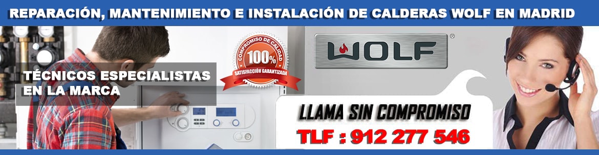 servicio tecnico wolf en madrid