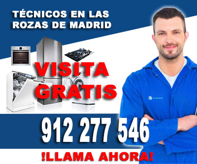 reparacion electrodomesticos las rozas