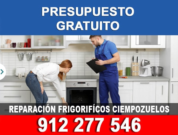 reparacion frigorificos Ciempozuelos