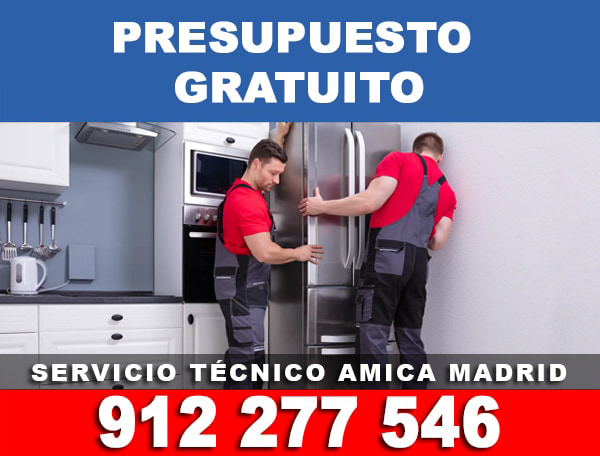 servicio tecnico amica madrid